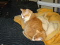 20100422135130