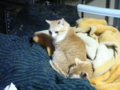 20100422135151