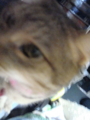 20100422135221