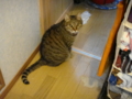 20100515161135