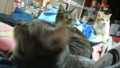 20130210232701