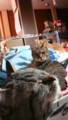20130210233215
