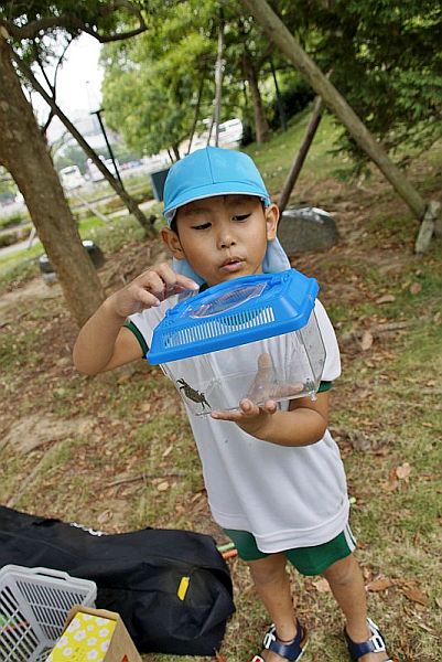 f:id:tendoudays:20170810084431j:plain f:id:tendoudays:20170810084431j:plain