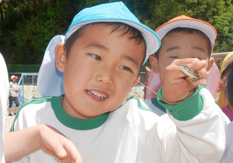 f:id:tendoudays:20200522173202j:plain