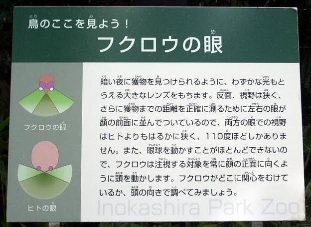 f:id:tenfingers:20201118164100j:plain