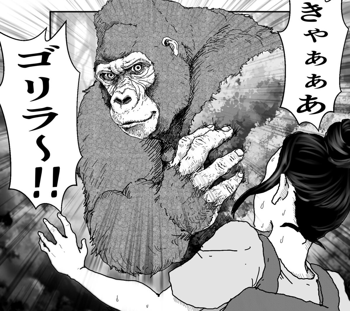 f:id:tenfingers:20210620205930j:plain