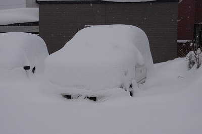 f:id:tengu2:20111227082355j:image:left f:id:tengu2:20111227082355j:image:left