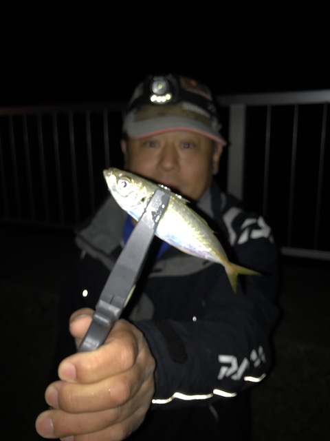 f:id:tengudo_staff:20171020161939j:plain f:id:tengudo_staff:20171020161939j:plain