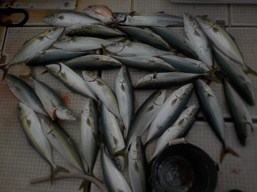 f:id:tengudo_staff:20171027105127j:plain