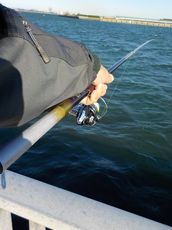 f:id:tengudo_staff:20171112103634j:plain f:id:tengudo_staff:20171112103634j:plain