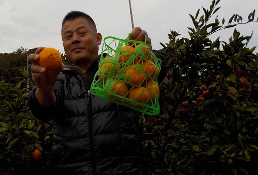 f:id:tengudo_staff:20171202124048j:plain f:id:tengudo_staff:20171202124048j:plain