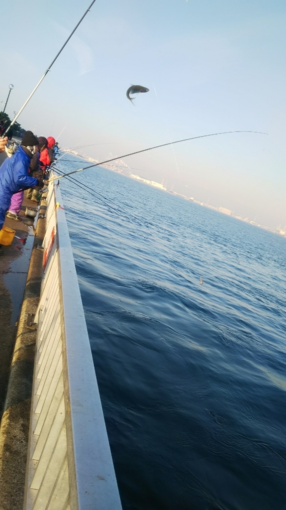 f:id:tengudo_staff:20171223174151j:plain f:id:tengudo_staff:20171223174151j:plain