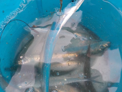 f:id:tengudo_staff:20171230124026j:plain