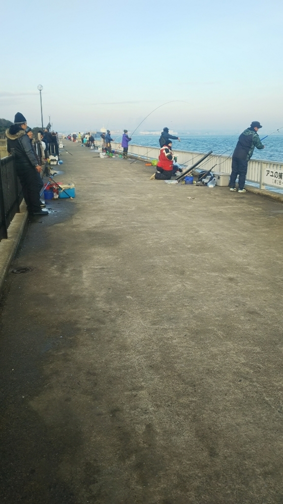 岡崎大樹寺店発 碧南海釣り公園調査 天狗堂スタッフによる釣りブログ 岡崎大樹寺店発 碧南海釣り公園調査 天狗堂スタッフによる釣りブログ