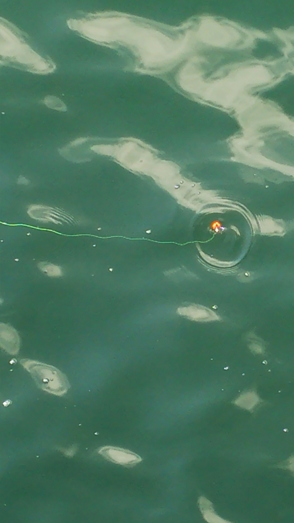 f:id:tengudo_staff:20180721111115j:plain f:id:tengudo_staff:20180721111115j:plain