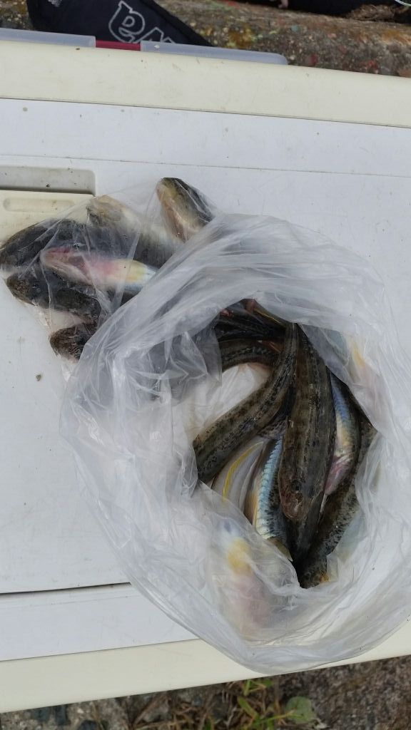 f:id:tengudo_staff:20181006094843j:plain