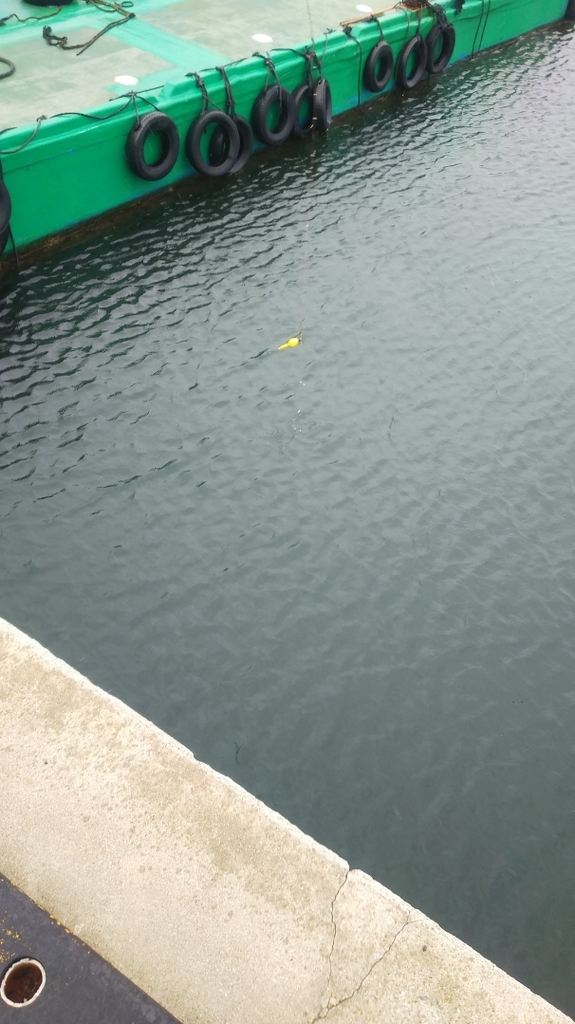 f:id:tengudo_staff:20181006135711j:plain