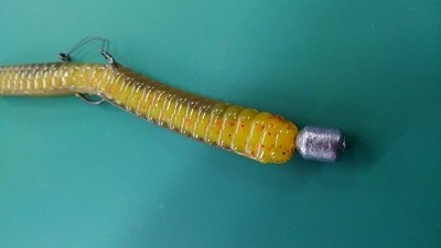 f:id:tengudo_staff:20181006140532j:plain f:id:tengudo_staff:20181006140532j:plain