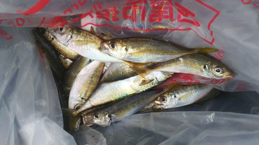 f:id:tengudo_staff:20181009112754j:plain