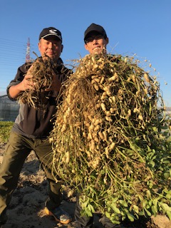 f:id:tengudo_staff:20181027133545j:plain f:id:tengudo_staff:20181027133545j:plain