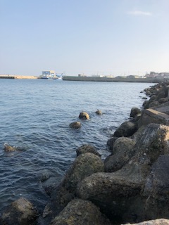 f:id:tengudo_staff:20190118214637j:plain