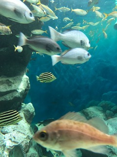 f:id:tengudo_staff:20190411103004j:plain f:id:tengudo_staff:20190411103004j:plain