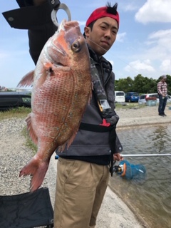 f:id:tengudo_staff:20190520102333j:plain f:id:tengudo_staff:20190520102333j:plain