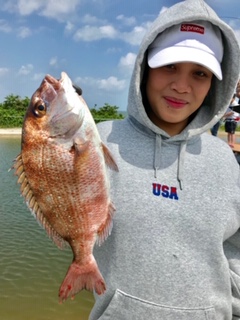 f:id:tengudo_staff:20190520102410j:plain f:id:tengudo_staff:20190520102410j:plain