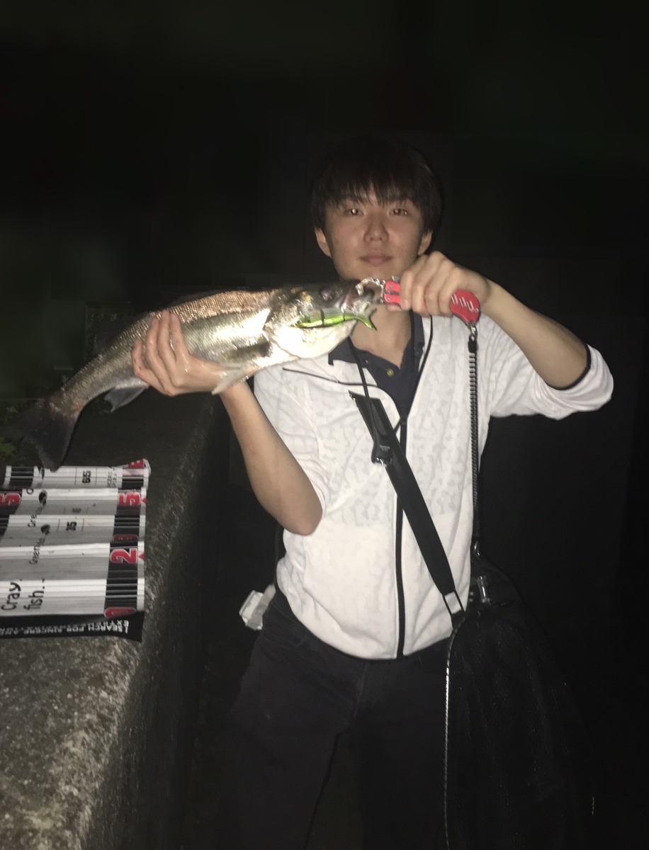 f:id:tengudo_staff:20190620165331j:plain f:id:tengudo_staff:20190620165331j:plain