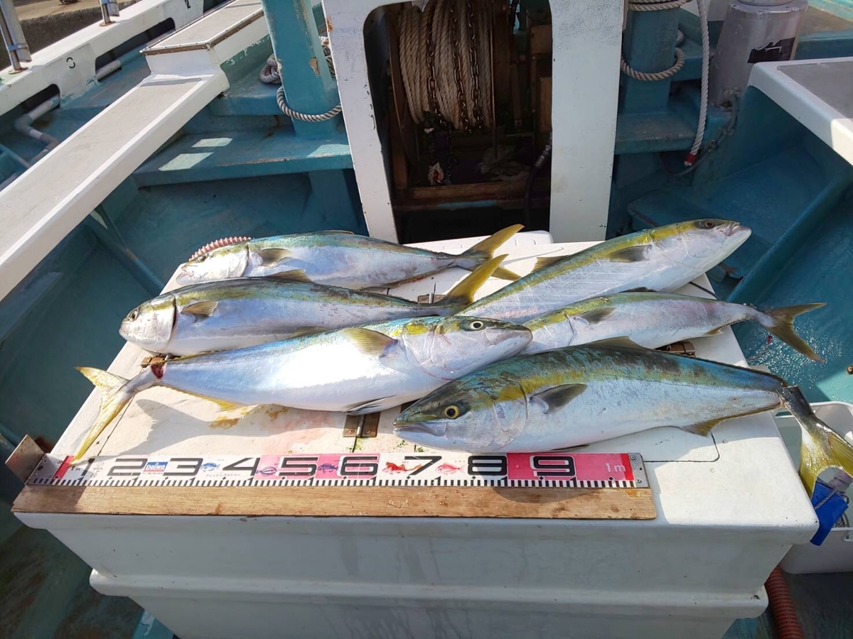 知立店 豪快 激アツ 伊勢湾泳がせ釣り 天狗堂スタッフによる釣りブログ