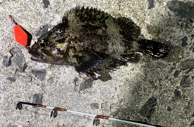 f:id:tengudo_staff:20191213122535j:plain