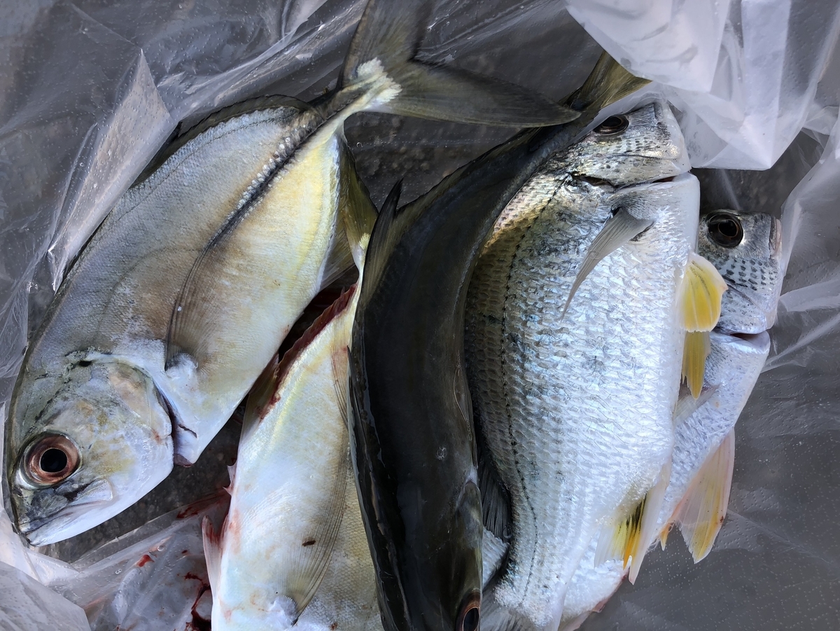 f:id:tengudo_staff:20200119165003j:plain