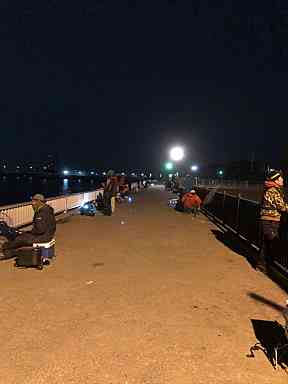 知立店 冬のクロダイ 夜釣り 碧南海釣り広場調査 天狗堂スタッフによる釣りブログ 知立店 冬のクロダイ 夜釣り 碧南海釣り広場調査 天狗堂スタッフによる釣りブログ