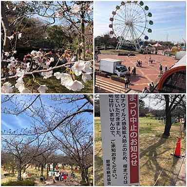 f:id:tengudo_staff:20200328130746j:plain