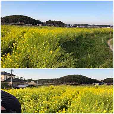 f:id:tengudo_staff:20200328131533j:plain