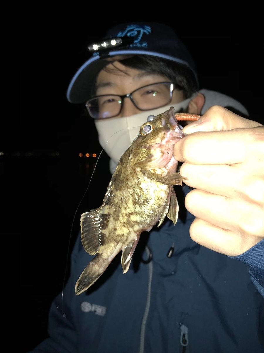 春の根魚調査 カサゴが面白い 岡崎大樹寺店 天狗堂スタッフによる釣りブログ 春の根魚調査 カサゴが面白い 岡崎大樹寺店 天狗堂スタッフによる釣りブログ
