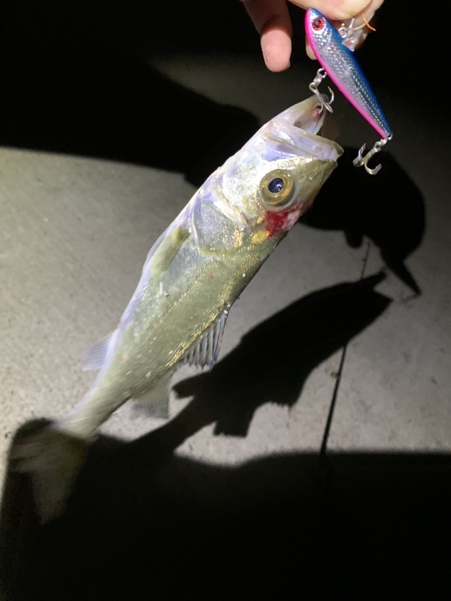 f:id:tengudo_staff:20200709234902j:plain f:id:tengudo_staff:20200709234902j:plain