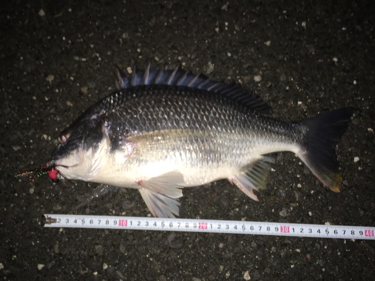 f:id:tengudo_staff:20200721123523j:plain