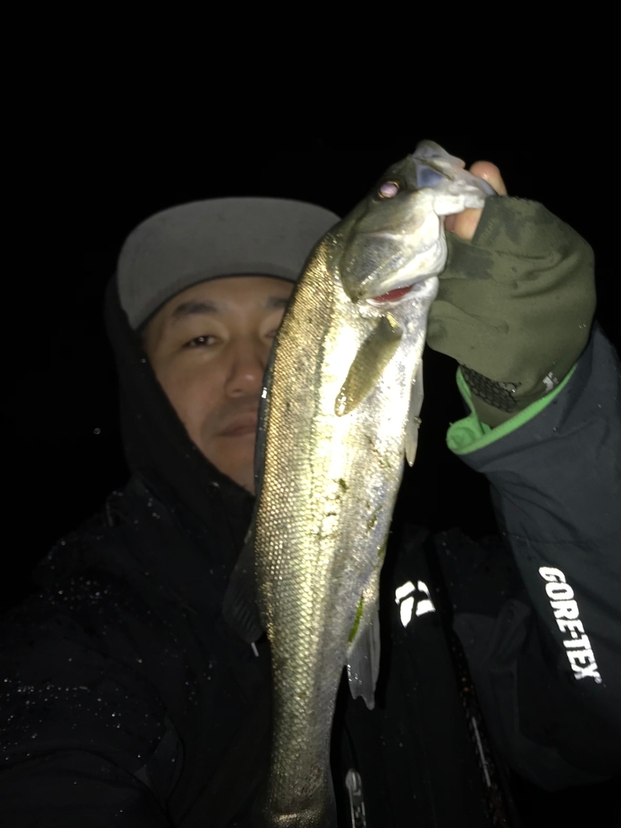 f:id:tengudo_staff:20201217231239j:plain