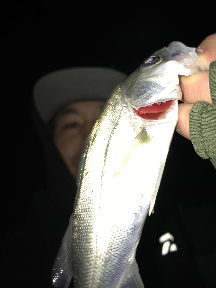 f:id:tengudo_staff:20201217231625j:plain