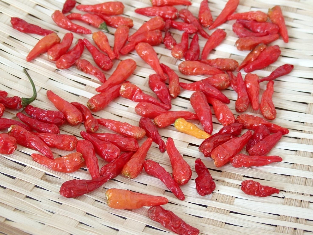 季節外れ 唐辛子を干してみた てんふなは季節と暮らす