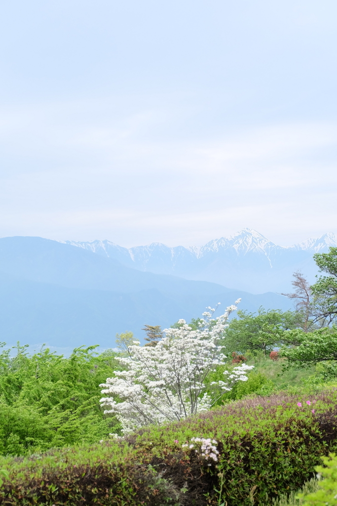 f:id:tenikichi21:20180503090858j:plain