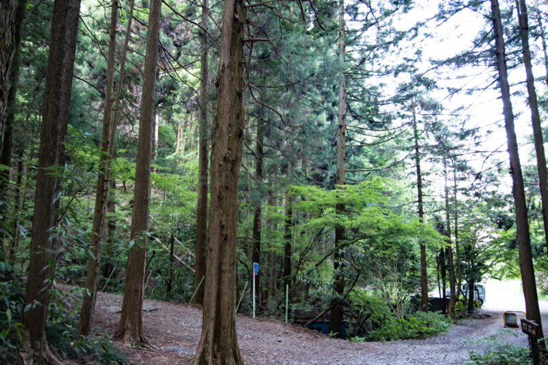 f:id:tenioso:20170604222823j:plain f:id:tenioso:20170604222823j:plain