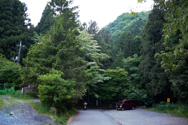 f:id:tenioso:20170604222824j:plain f:id:tenioso:20170604222824j:plain