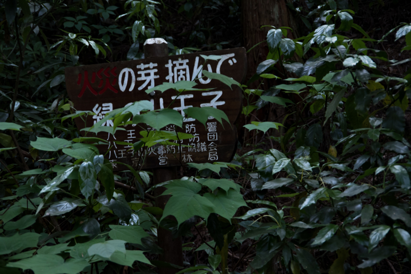 f:id:tenioso:20170604222826j:plain f:id:tenioso:20170604222826j:plain