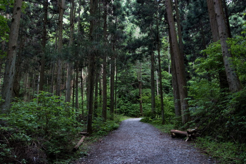 f:id:tenioso:20170604222827j:plain f:id:tenioso:20170604222827j:plain