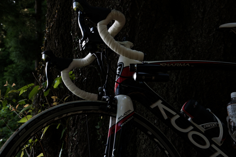 f:id:tenioso:20170604222838j:plain f:id:tenioso:20170604222838j:plain