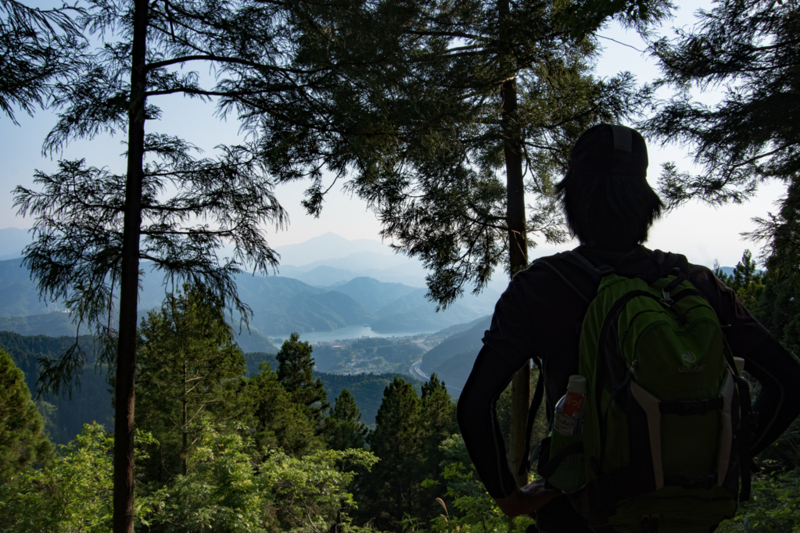 f:id:tenioso:20170604222841j:plain f:id:tenioso:20170604222841j:plain