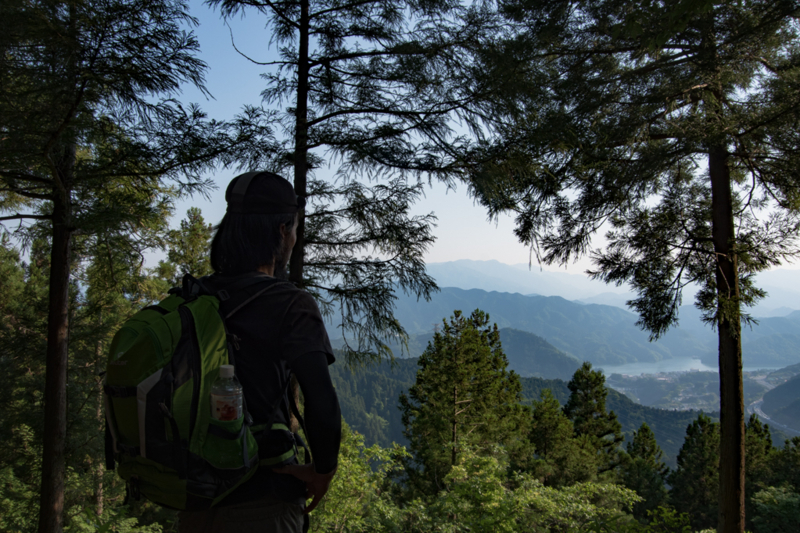 f:id:tenioso:20170604222842j:plain f:id:tenioso:20170604222842j:plain