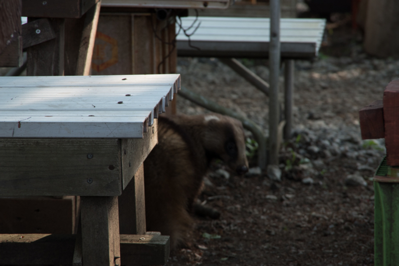 f:id:tenioso:20170604222844j:plain f:id:tenioso:20170604222844j:plain